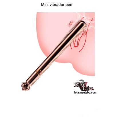 Mini vibrador pen meutabu.com