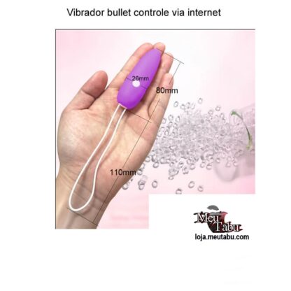 Vibrador bullet controle via internet meutabu.com