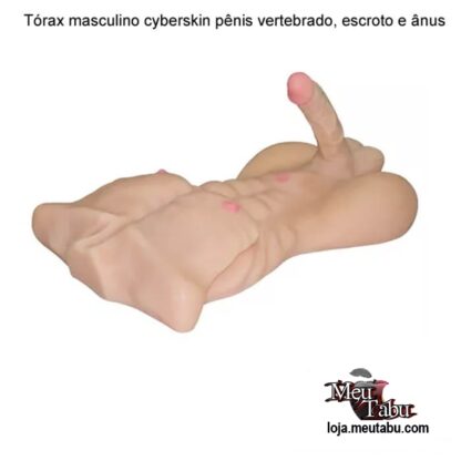 Tórax masculino cyberskin pênis vertebrado, escroto e ânus meutabu.com