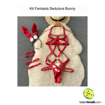 Kit Fantasia Sedutora Bunny