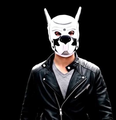 Máscara Petplay Cachorro branco meutabu